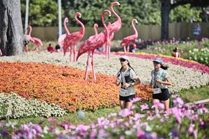 BIB: 
                            <button type="button" onclick="openModal(27793518)" class="btn btn-primary btn-sm float-right btn-popup" data-toggle="modal" data-target=".modal-high-quality">
                        <i class="fas fa-shopping-cart"></i> Add to Cart
                    </button>
                                            <button type="button" onclick="isThisMe(27793518, true)" class="btn btn-success btn-sm float-right btn-popup btn-isme hidden" data-toggle="tooltip" data-placement="bottom" title="นี่คือรูปของคุณใช่ไหม คลิกที่นี่เพื่อเอาเข้าอัลบั้ม">
                        <i class="fas fa-plus"></i> Add to album
                    </button>
                    <button type="button" onclick="isThisMe(27793518, false)" class="btn btn-warning btn-sm float-right btn-popup btn-isnotme hidden">
                        <i class="fas fa-ban"></i> Remove from album
                    </button>